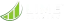Lime Financial